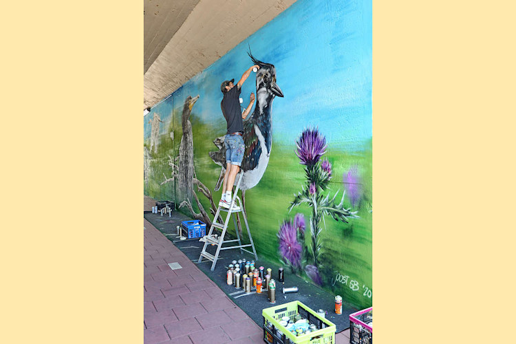 Graffiti-Art in viaduct/tunneltje onder de A12_23